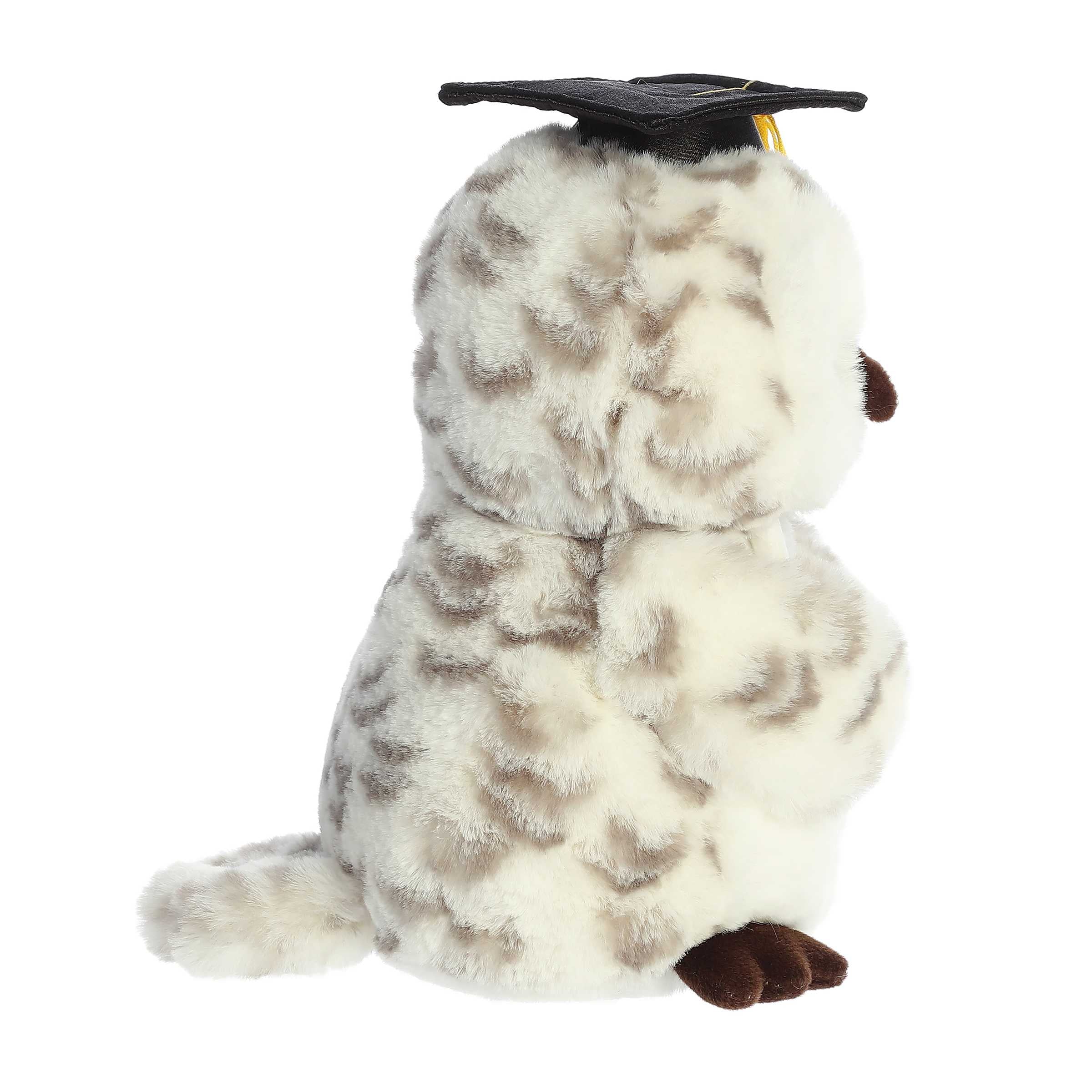 Aurora® - Graduation - 9 Smart Owl™、mySite、g9winljtr