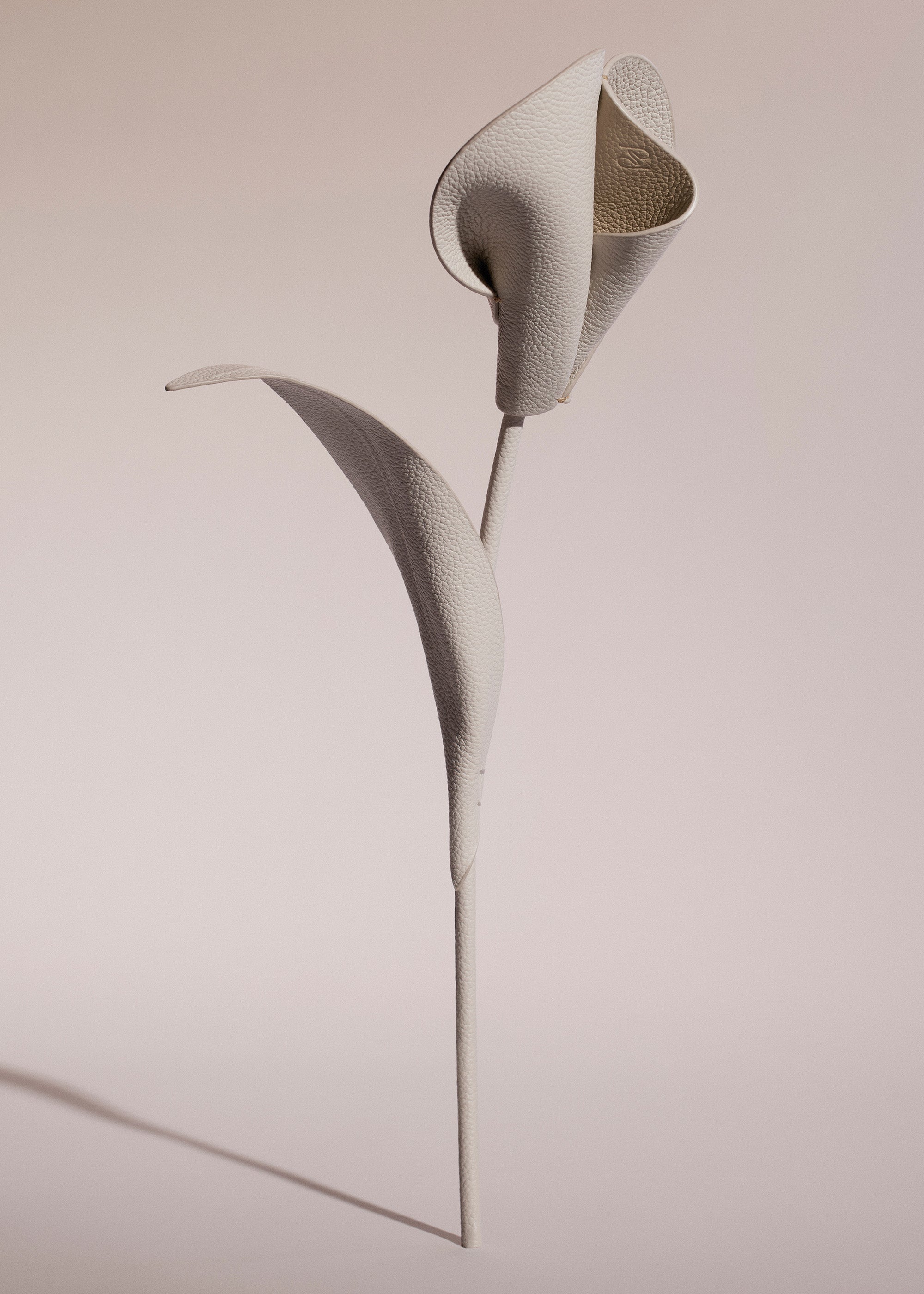 Fleur Pili - Duo Craie Grain茅、mySite、camillekostekn