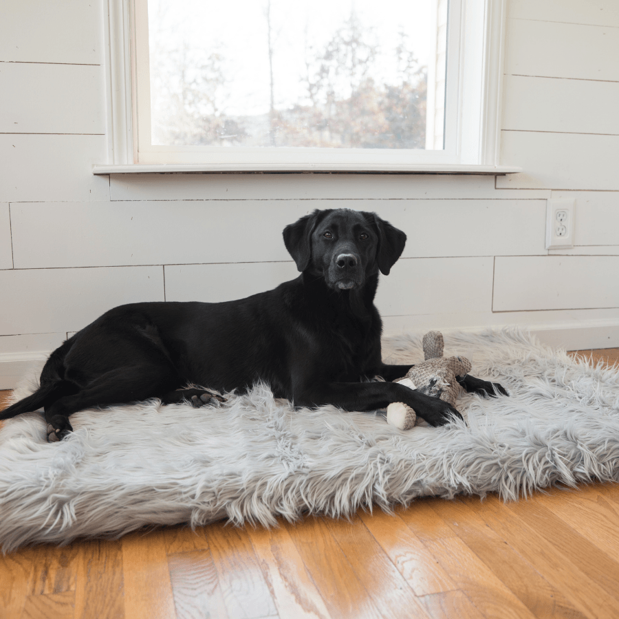 PupRug by Paw.com™ Faux Fur Orthopedic Dog Bed - Rectangle Grey、mySite、solidvoid