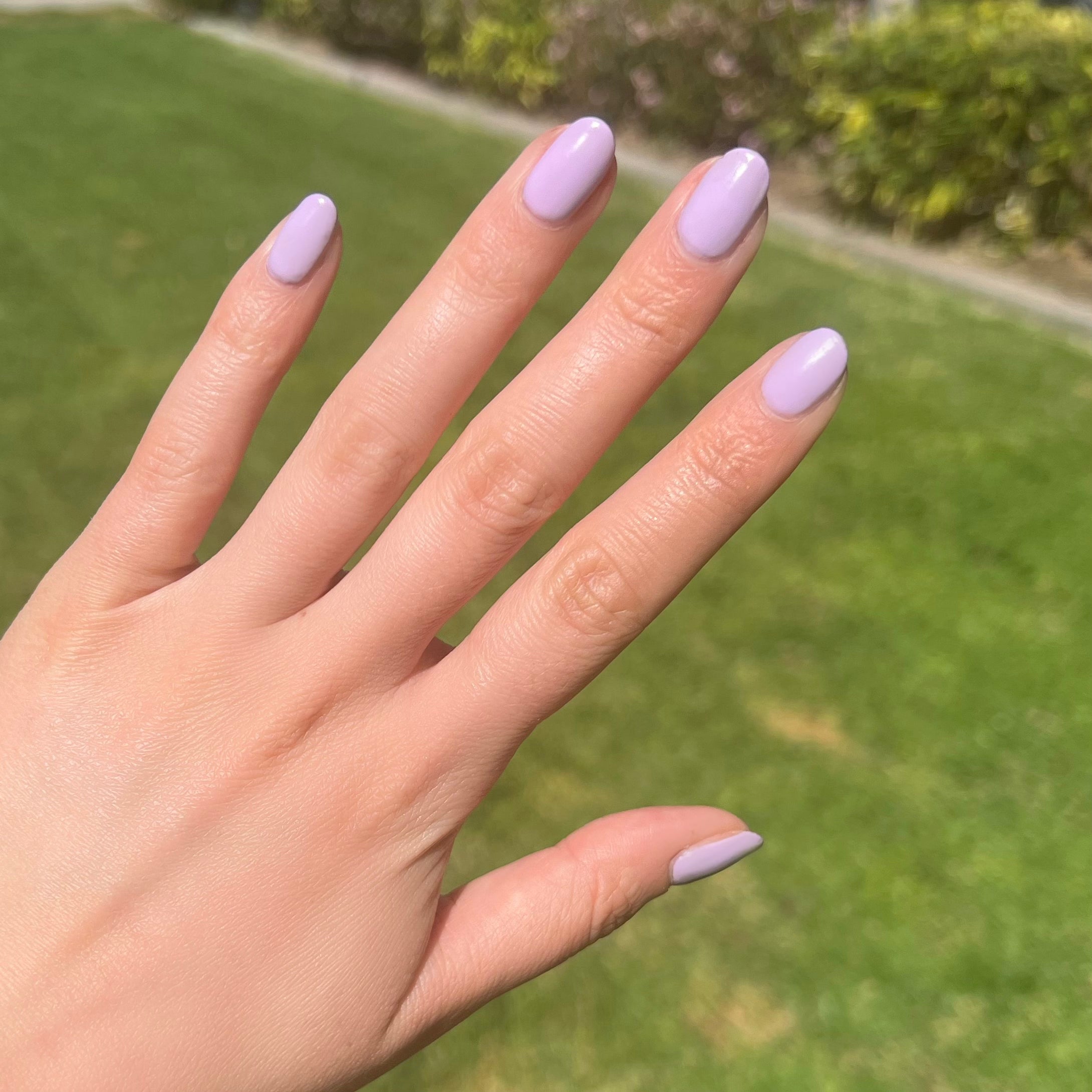 You're Invited、mySite、solidvoid