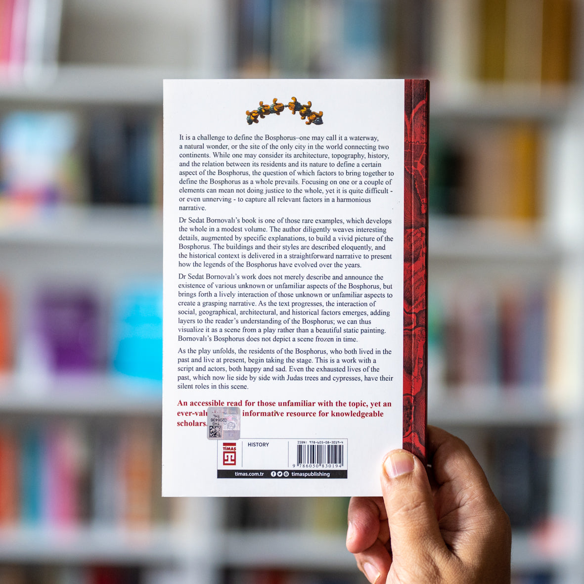 The Bosphorus: An Illustrated Story、mySite、topwebapps