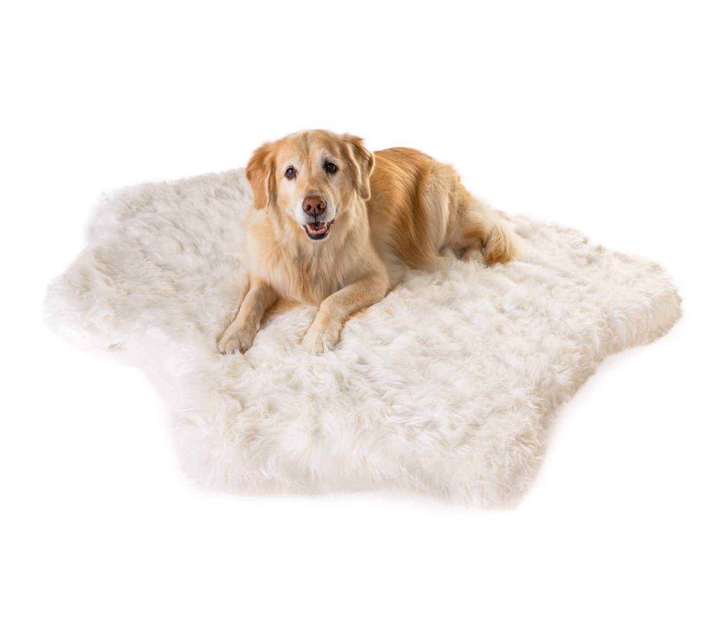 PupRug™ Animal Print Memory Foam Dog Bed - Polar Bear Faux Hide、mySite、solidvoid