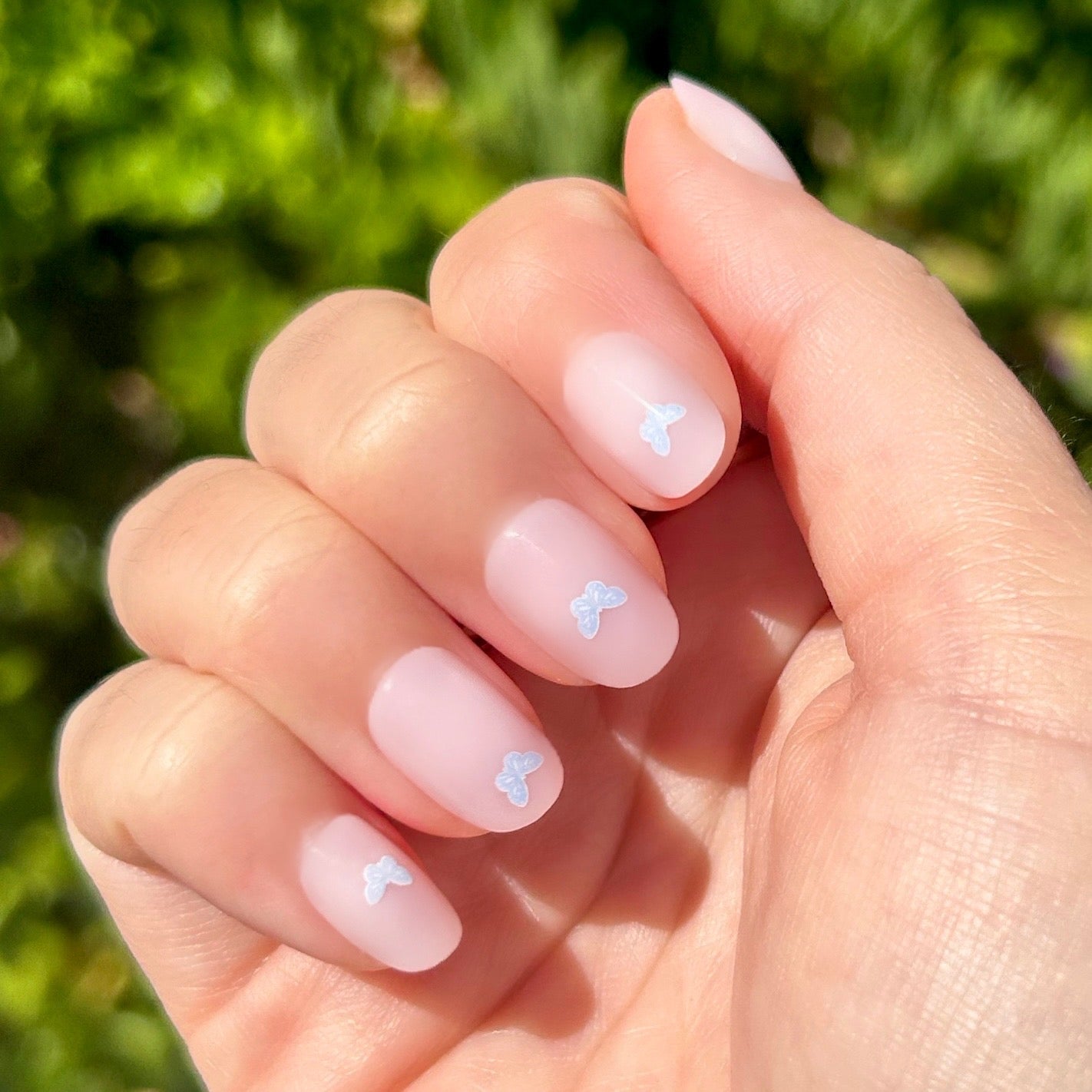 Butterfly Party | Round | Extra Short、mySite、solidvoid