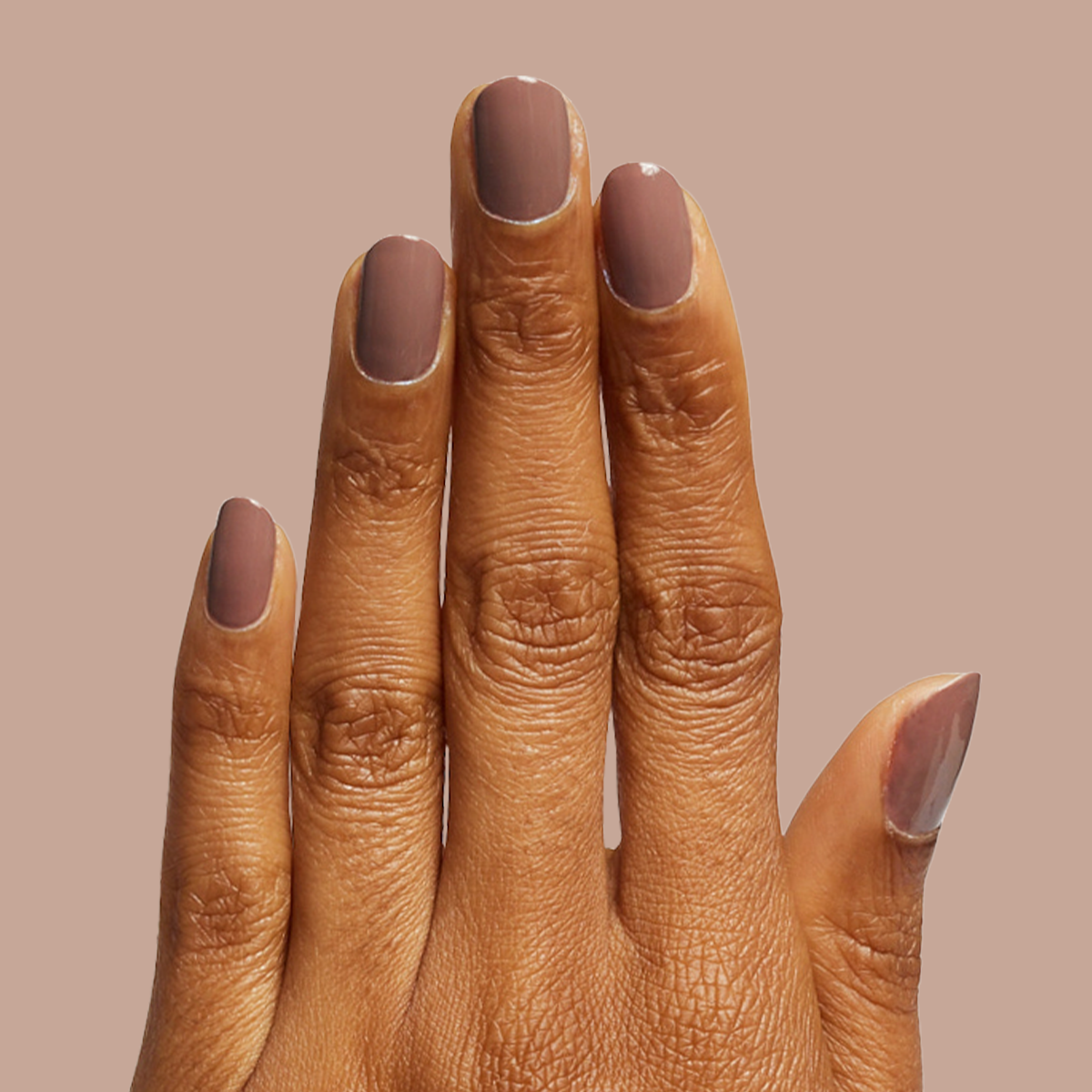 Fawn、mySite、solidvoid