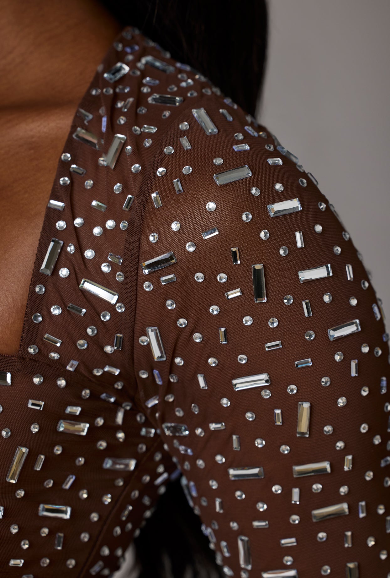 Sheer Embellished Long Sleeve Crop Top in Deep Cocoa、mySite、solidvoid