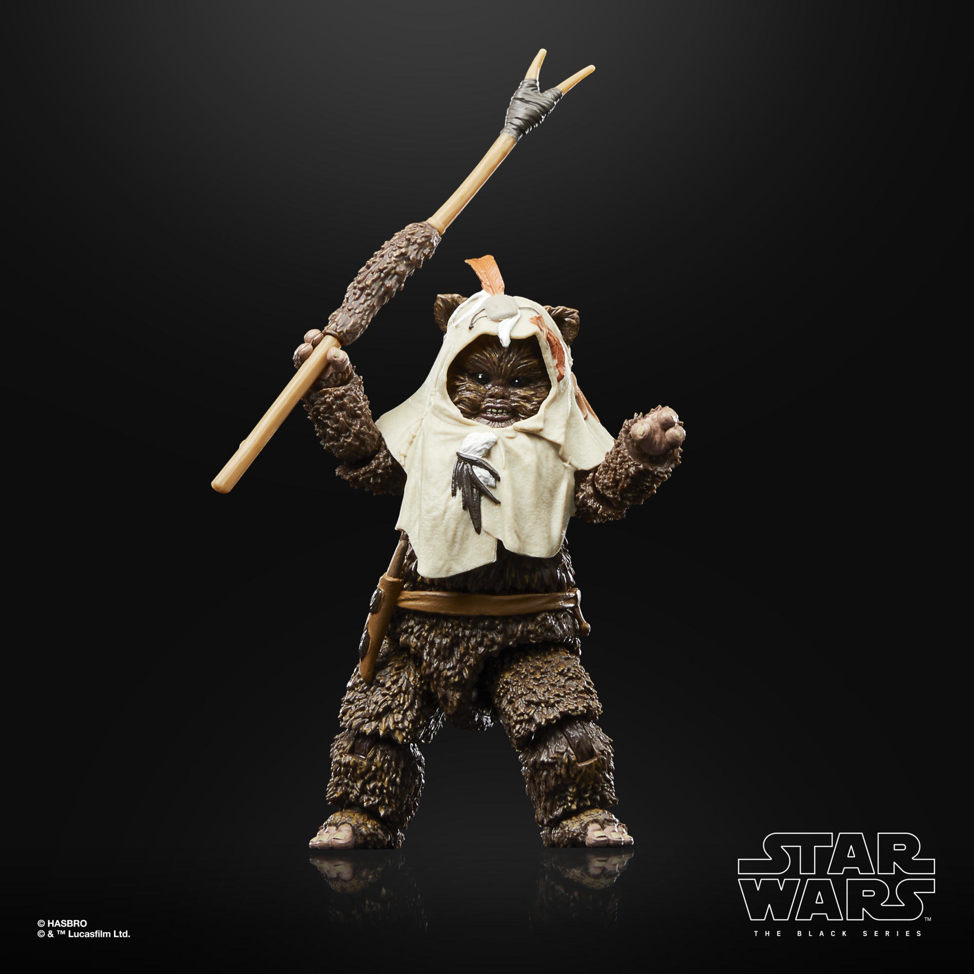 Star Wars The Black Series Paploo Return of the Jedi 40th Anniversary、mySite、hgirdovlk