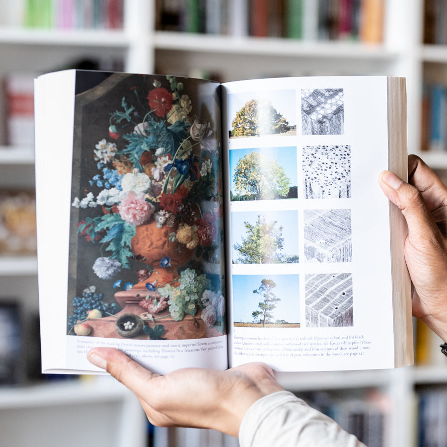 Good Nature、mySite、topwebapps