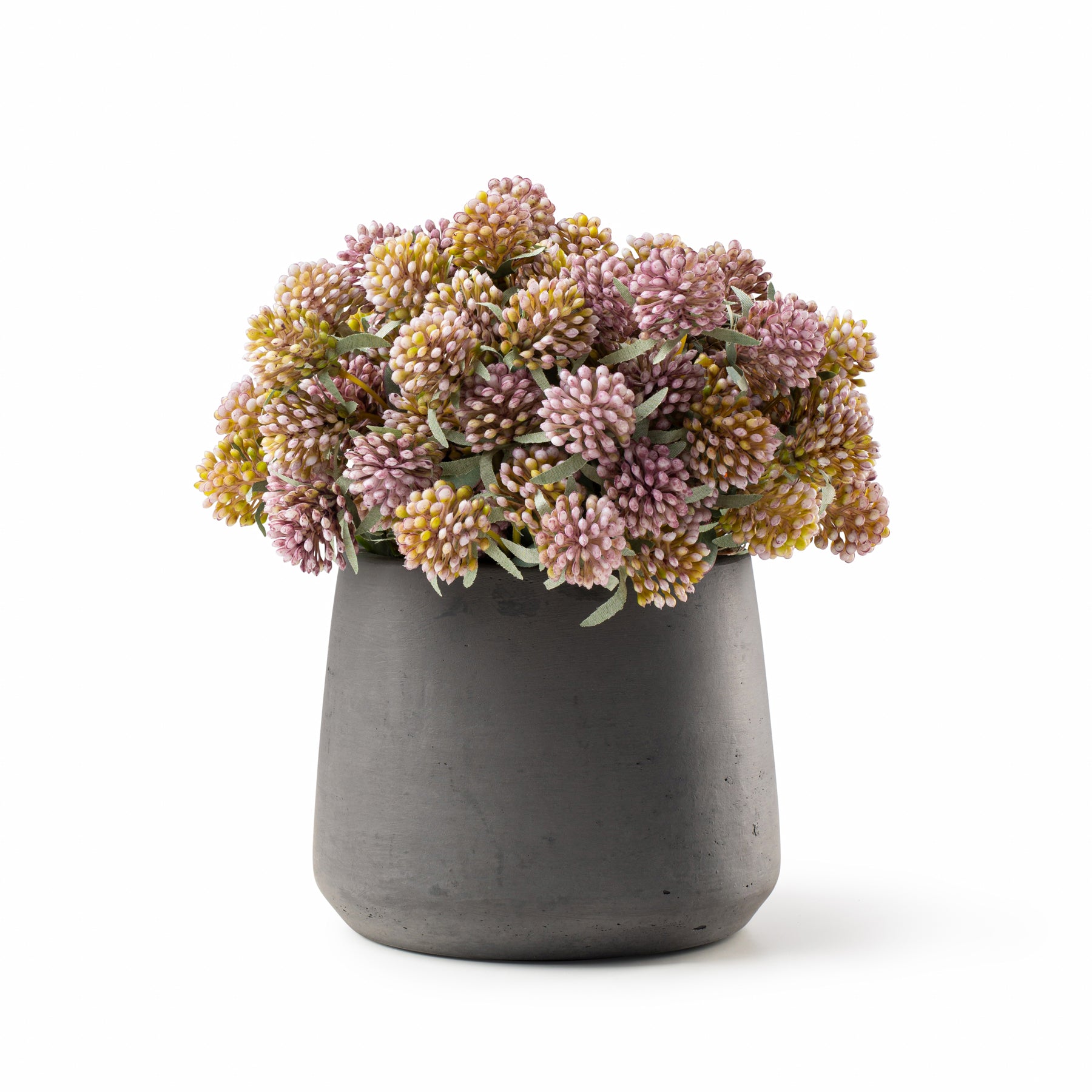  DH Patt Black Berry Floral、mySite、elrpsem3k