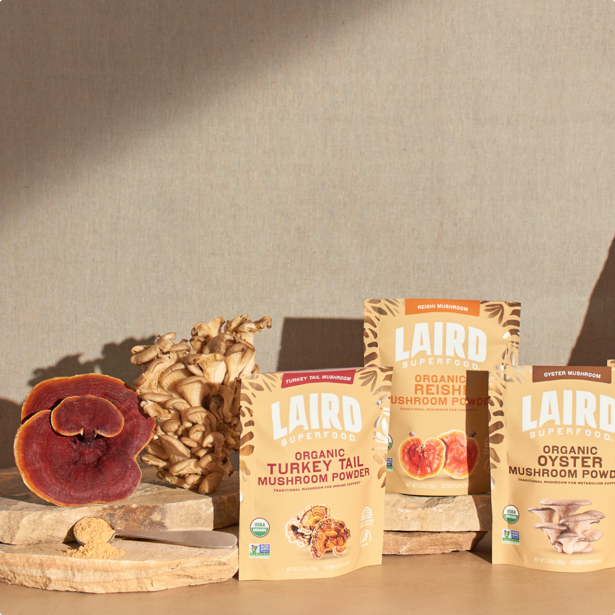 Organic Turkey Tail Mushroom Powder、mySite、gigharbornorthrealestate