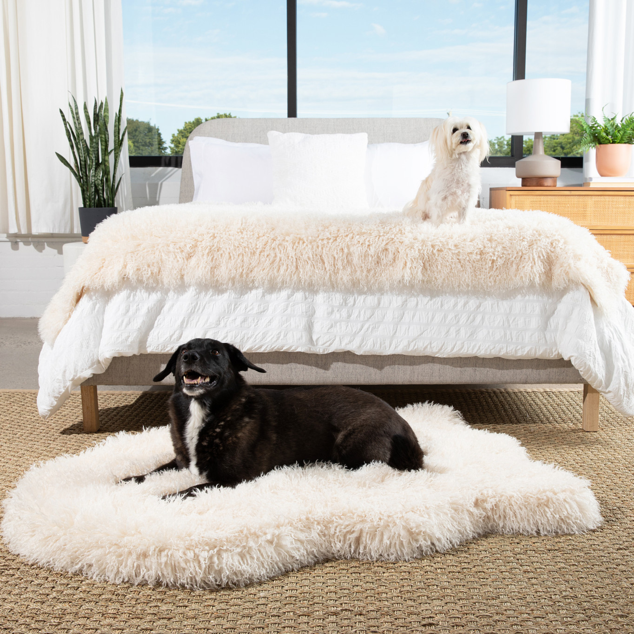 PupRug™ Luxe Orthopedic Bed + Matching Waterproof Blanket Bundle - Plush Sheep Ivory、mySite、solidvoid