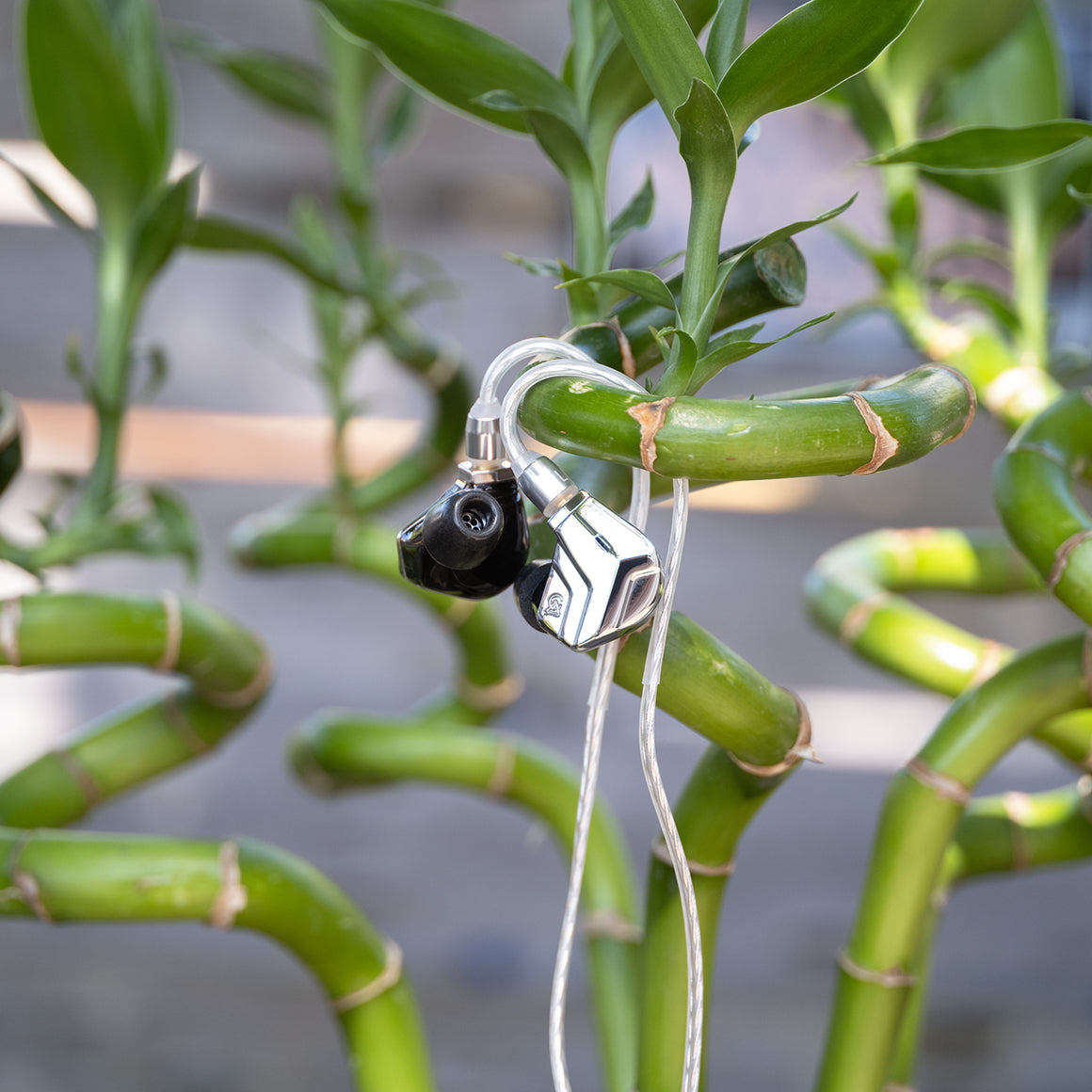  Campfire Audio - Astrolith、mySite、merchandisen