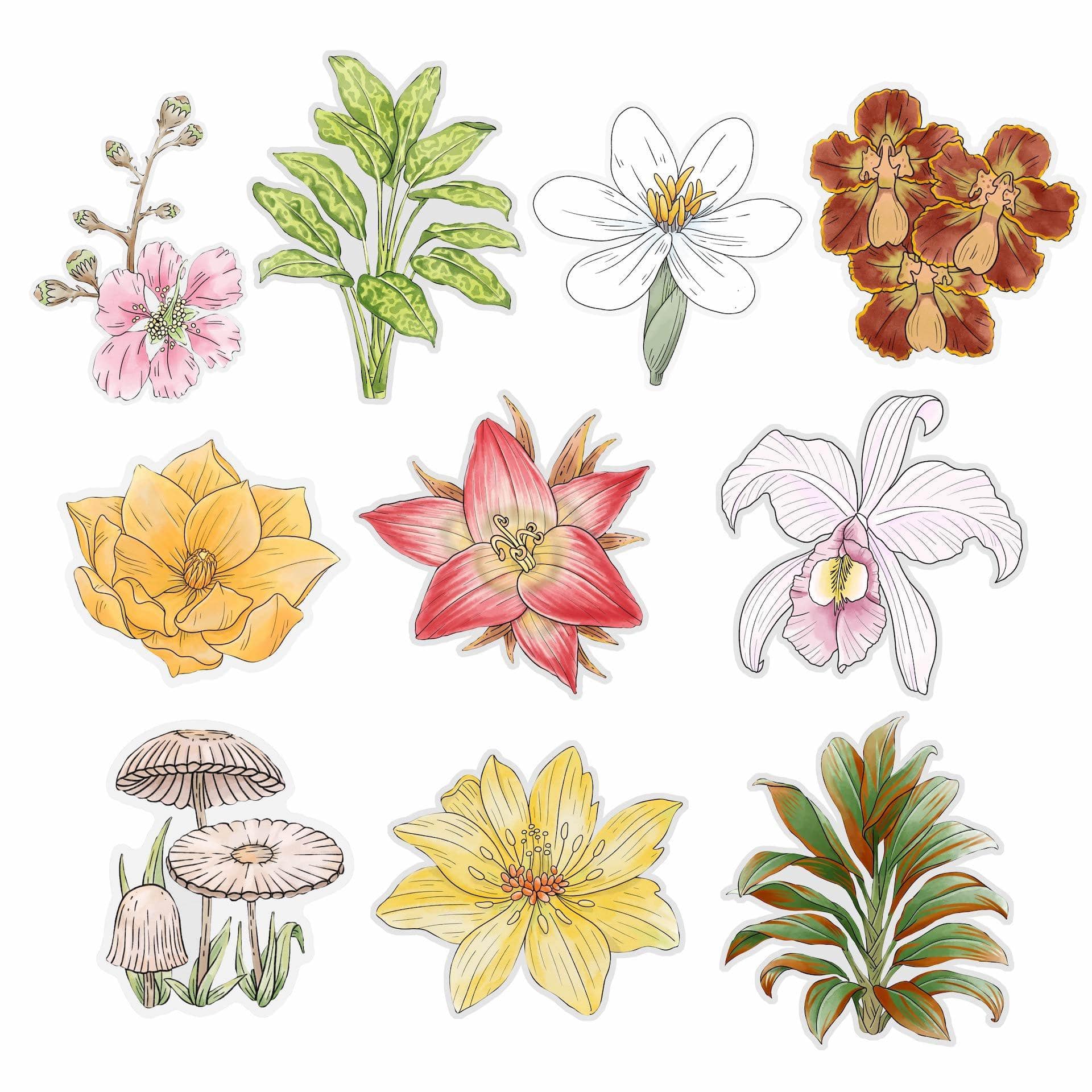  Botanical Clear Stickers 10 Pack、mySite、ghnorth
