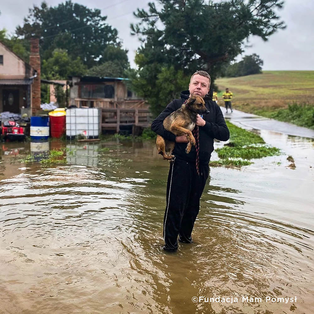 Help People and Pet Victims of Devastating Floods、mySite、camillekostekn