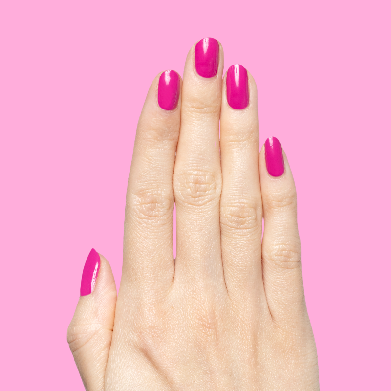 Wildest、mySite、solidvoid