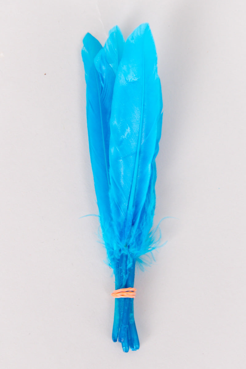 Mini Goose Feathers Bundle of 6- Orange Rubber Band - FINAL SALE、mySite、hinf8tx79