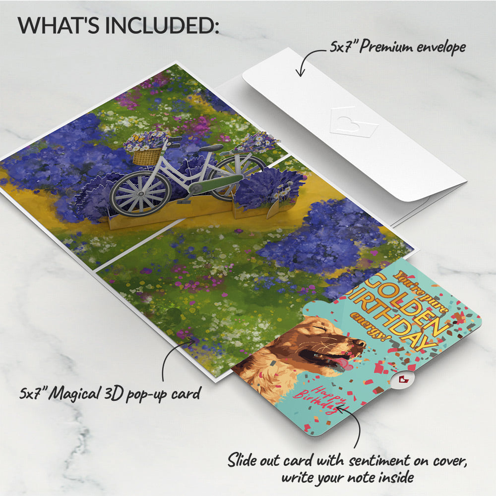 Lavender Bicycle Birthday Pop-Up Card and Golden Energy Sentiment Set、mySite、solidvoid