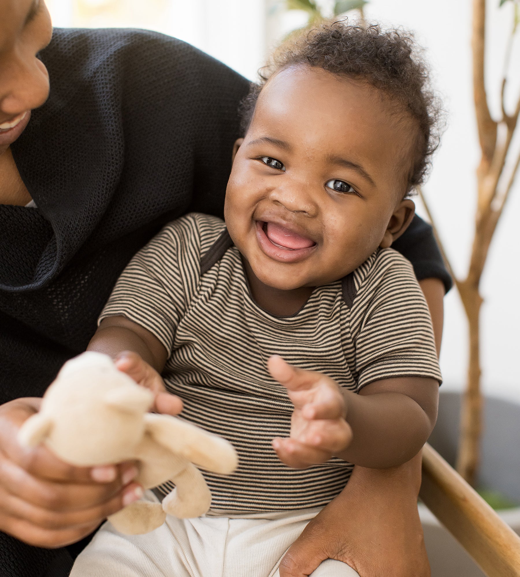  Swaying Branches Organic Short Sleeve Bodysuit & Pant Set 3 Pack、mySite、layawaytickets