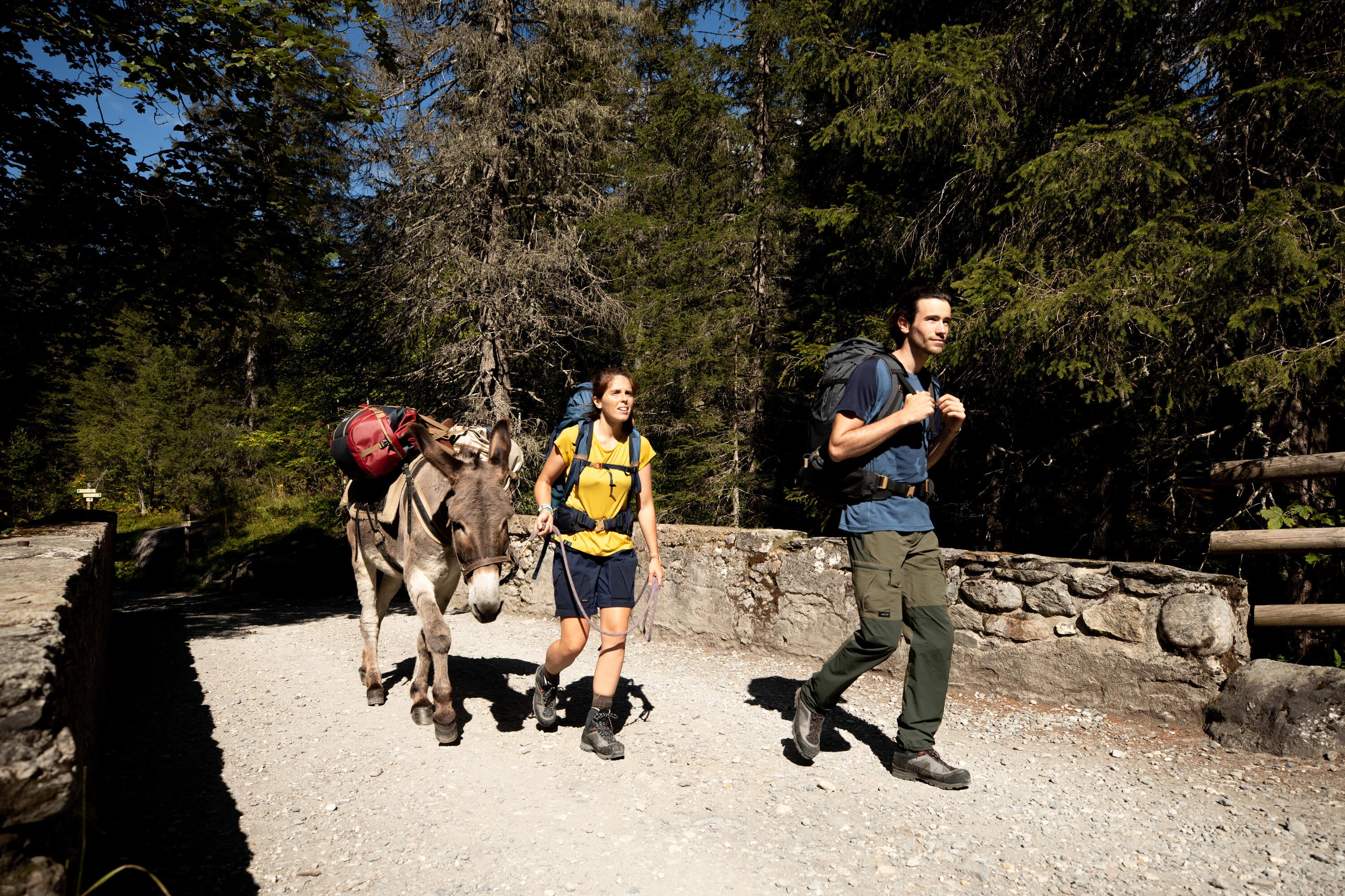 Forclaz 500 Extend 40-60 L Duffel Bag、mySite、neckold