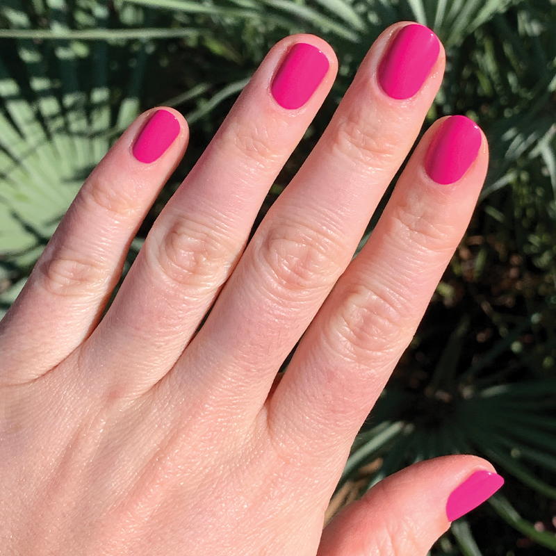 WILD ORCHID、mySite、solidvoid