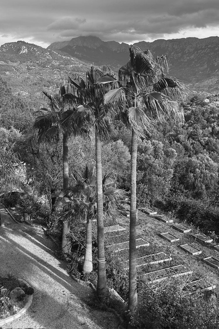 Mallorca Mesh Dress Petite、mySite、solidvoid