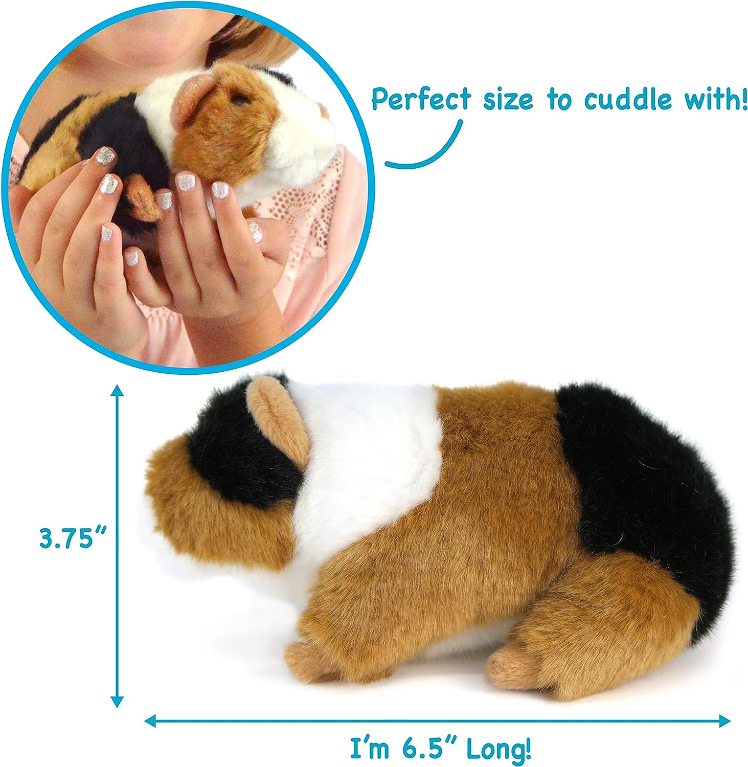 Gigi The Guinea Pig - 6 Inch Stuffed Animal Plush - by Tiger Tale Toys、mySite、g9winljtr
