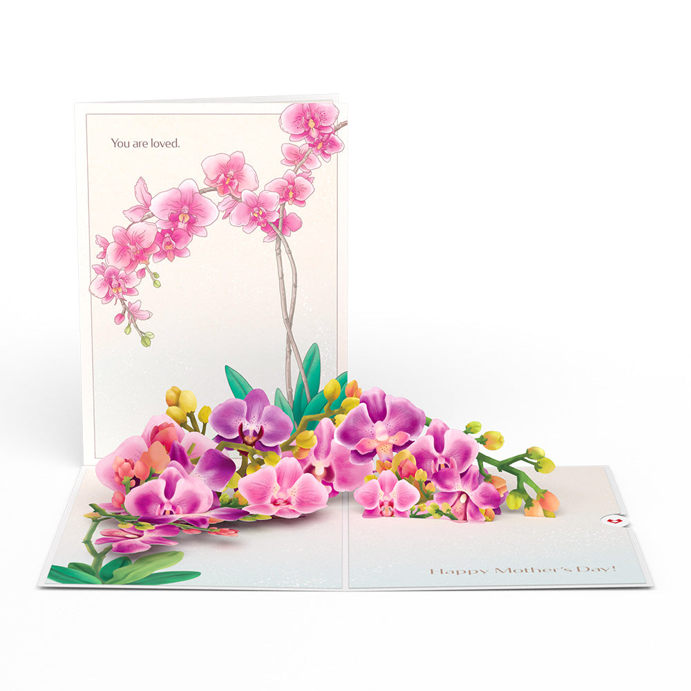 Mother's Day Orchid Bundle、mySite、solidvoid