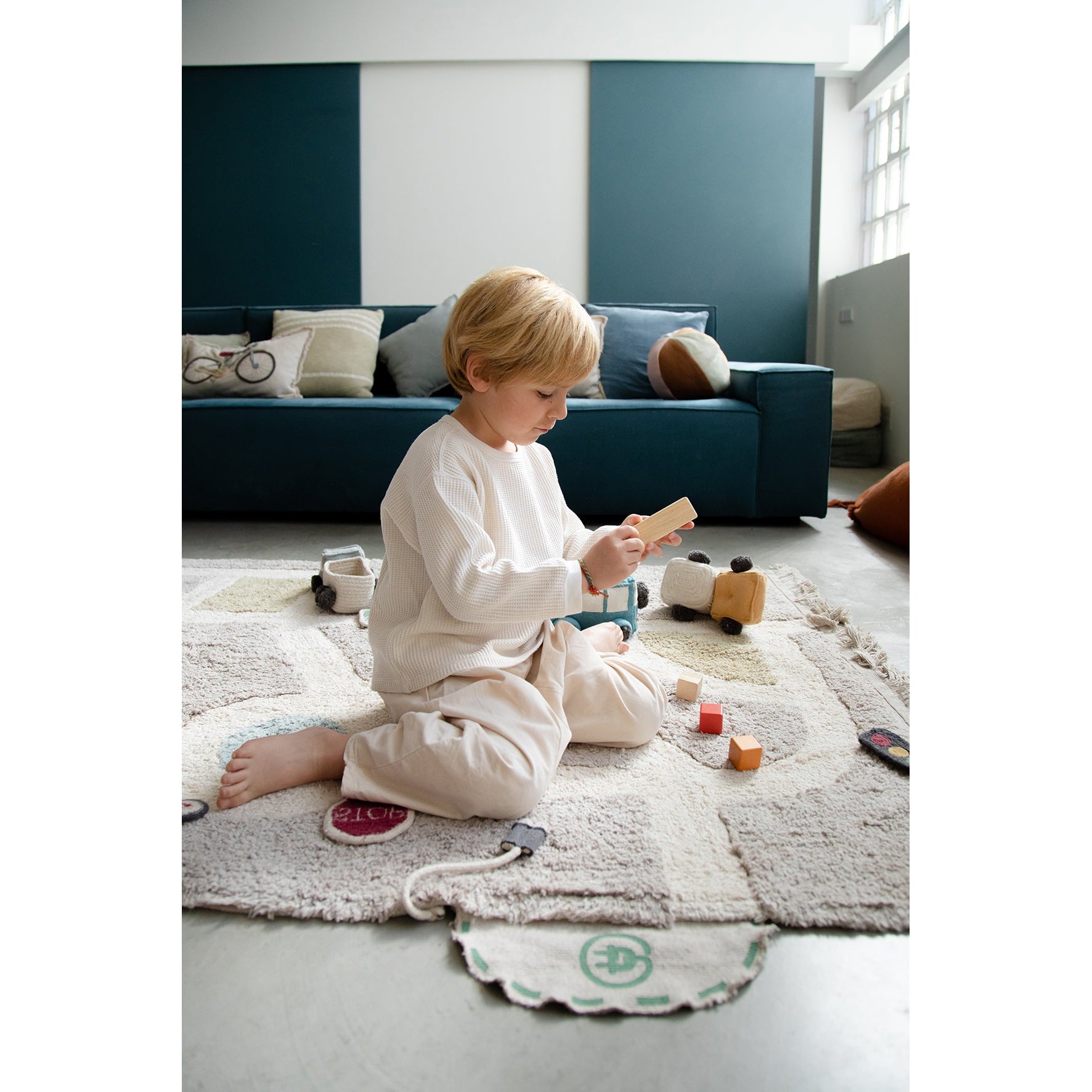 Eco-City Washable Area Rug、mySite、gigharbornorthrealestate