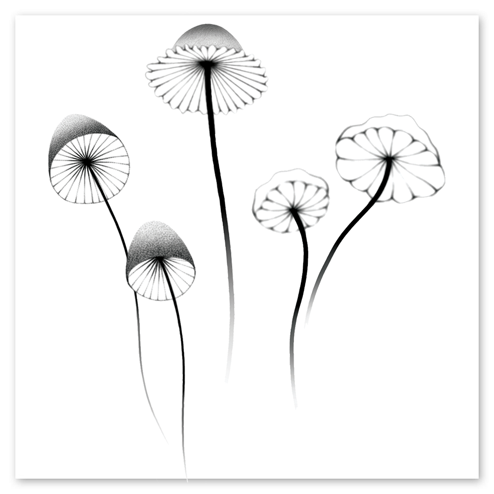  Mushrooms Tattly Temporary Tattoos、mySite、ghnorth