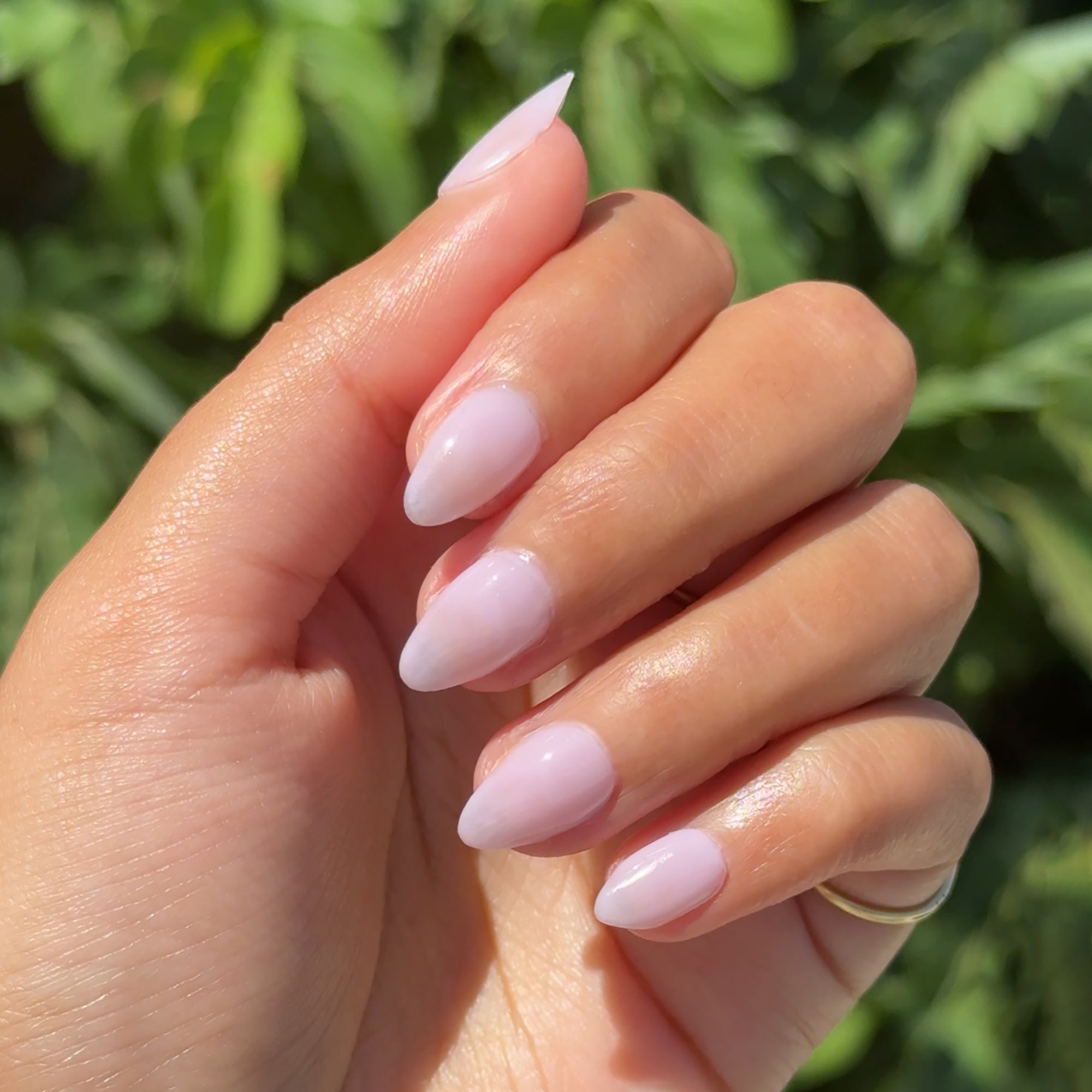 Passionfruit Gloss、mySite、solidvoid