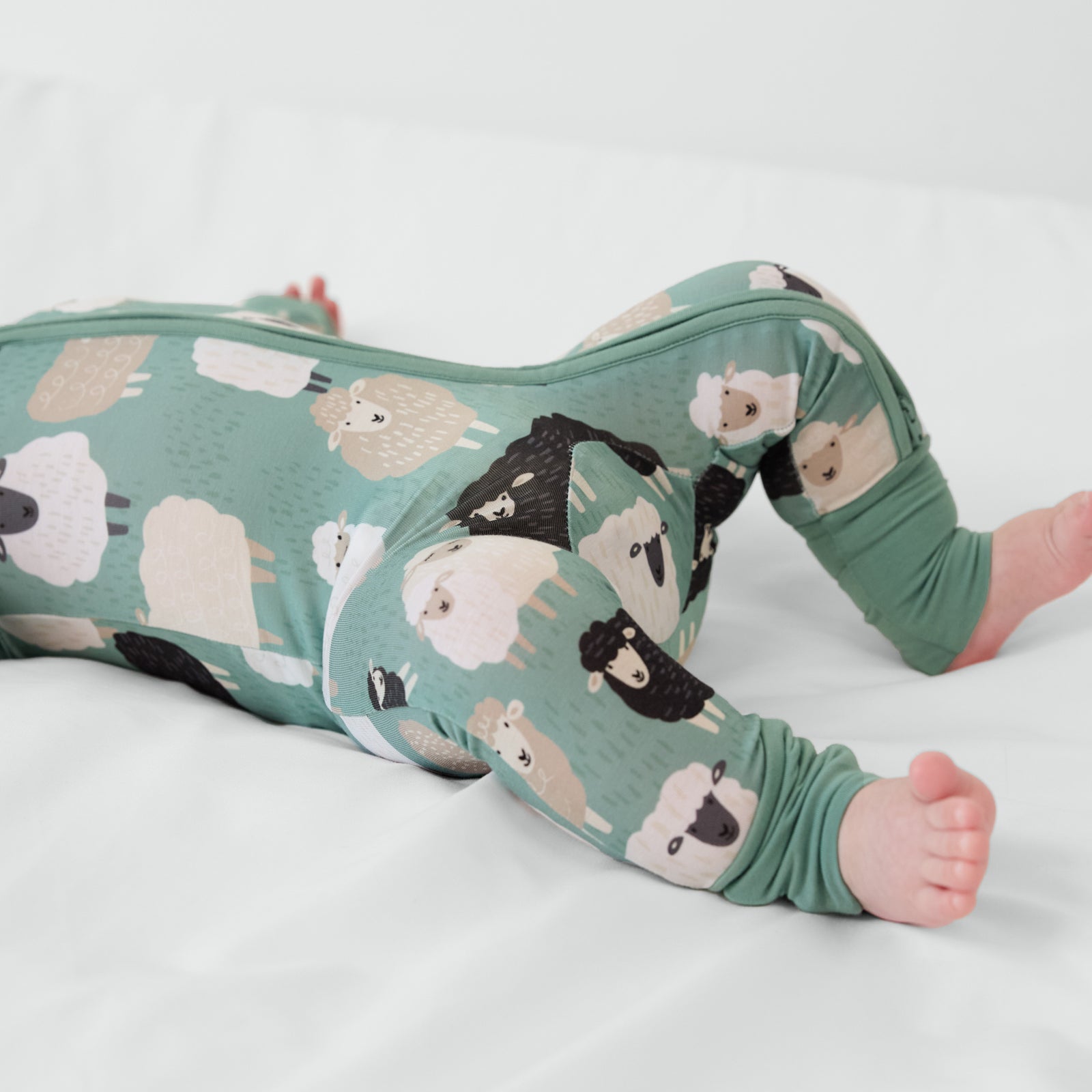  Little Sheepies Zippy、mySite、layawaytickets