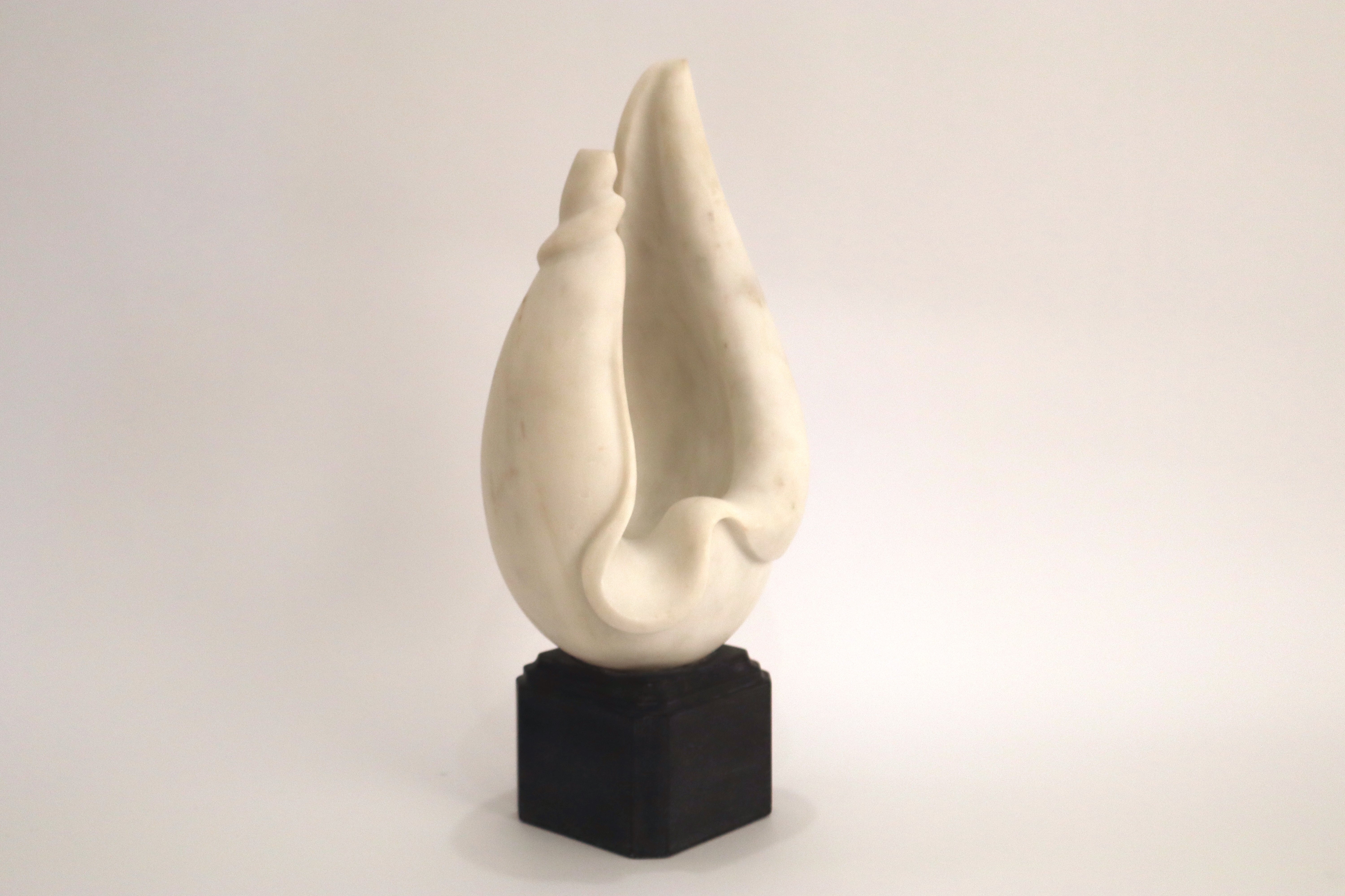 Conch Shell - White and Black Marble (42 cm)、mySite、topwebapps