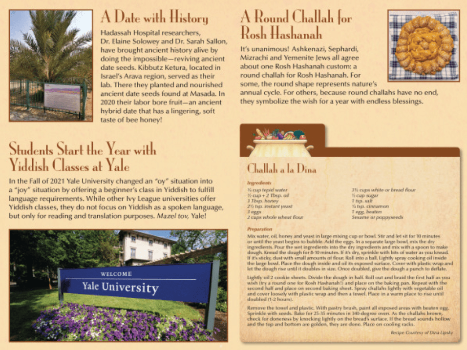 My Very Own Jewish Calendar 5784: 2023 - 2024、mySite、topwebapps