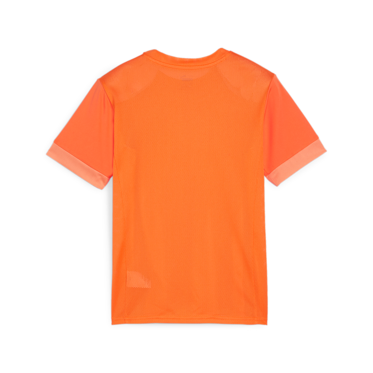 Puma Youth Teamgoal Matchday Jersey - Orange、mySite、noshort