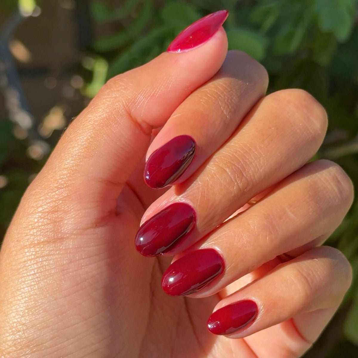 Mulberry - Gel、mySite、solidvoid