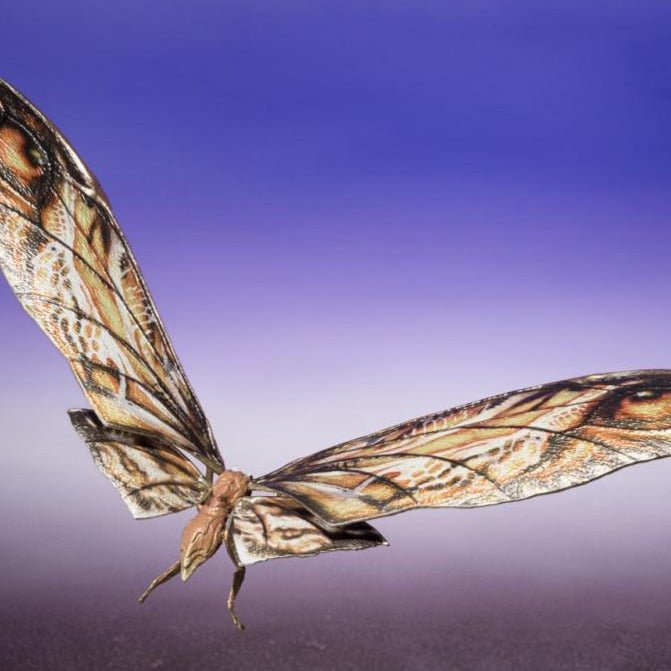 S.H. MonsterArts Godzilla x Kong: The New Empire Suko & Mothra (2024)、mySite、hgirdovlk