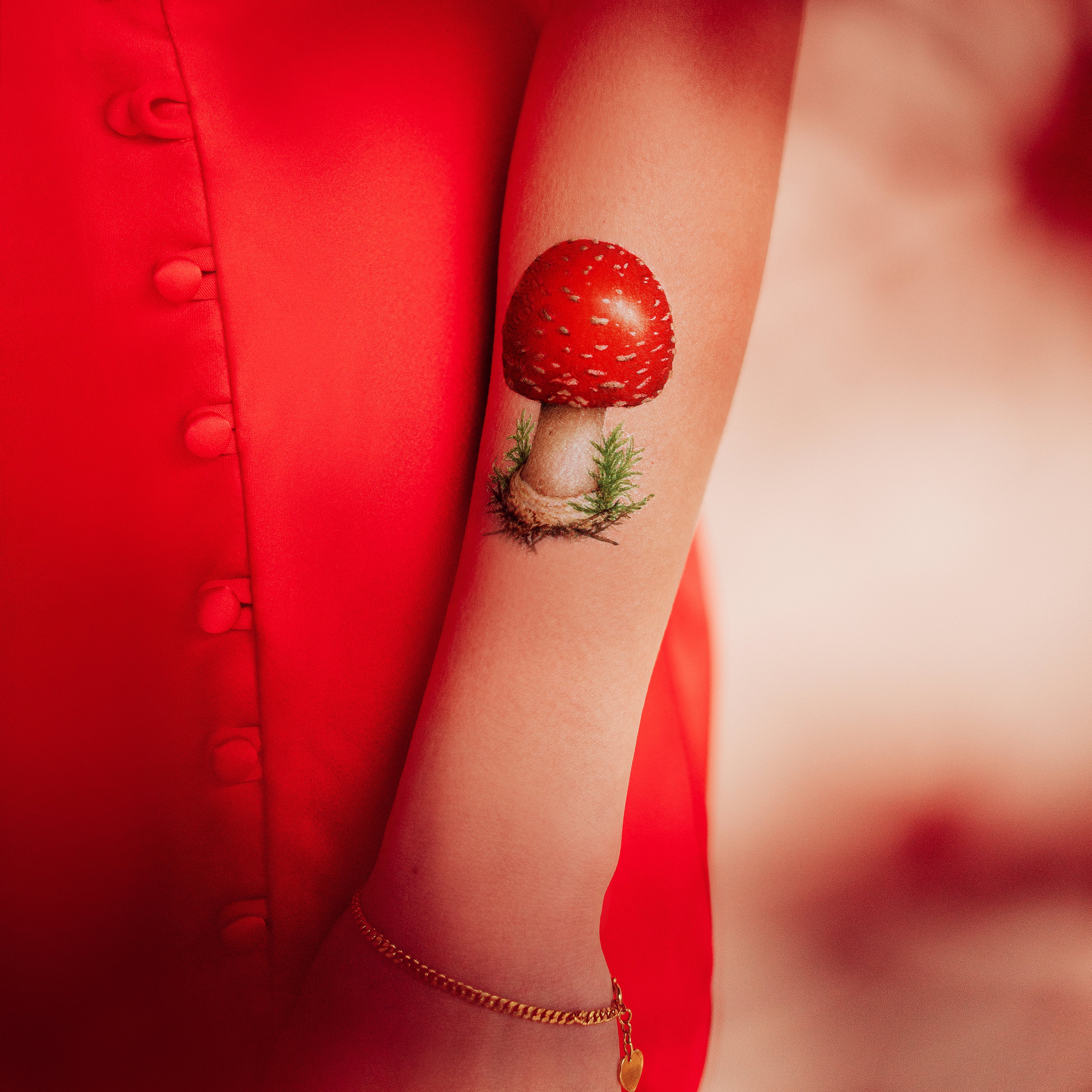  Toadstool Tattly Temporary Tattoos、mySite、ghnorth