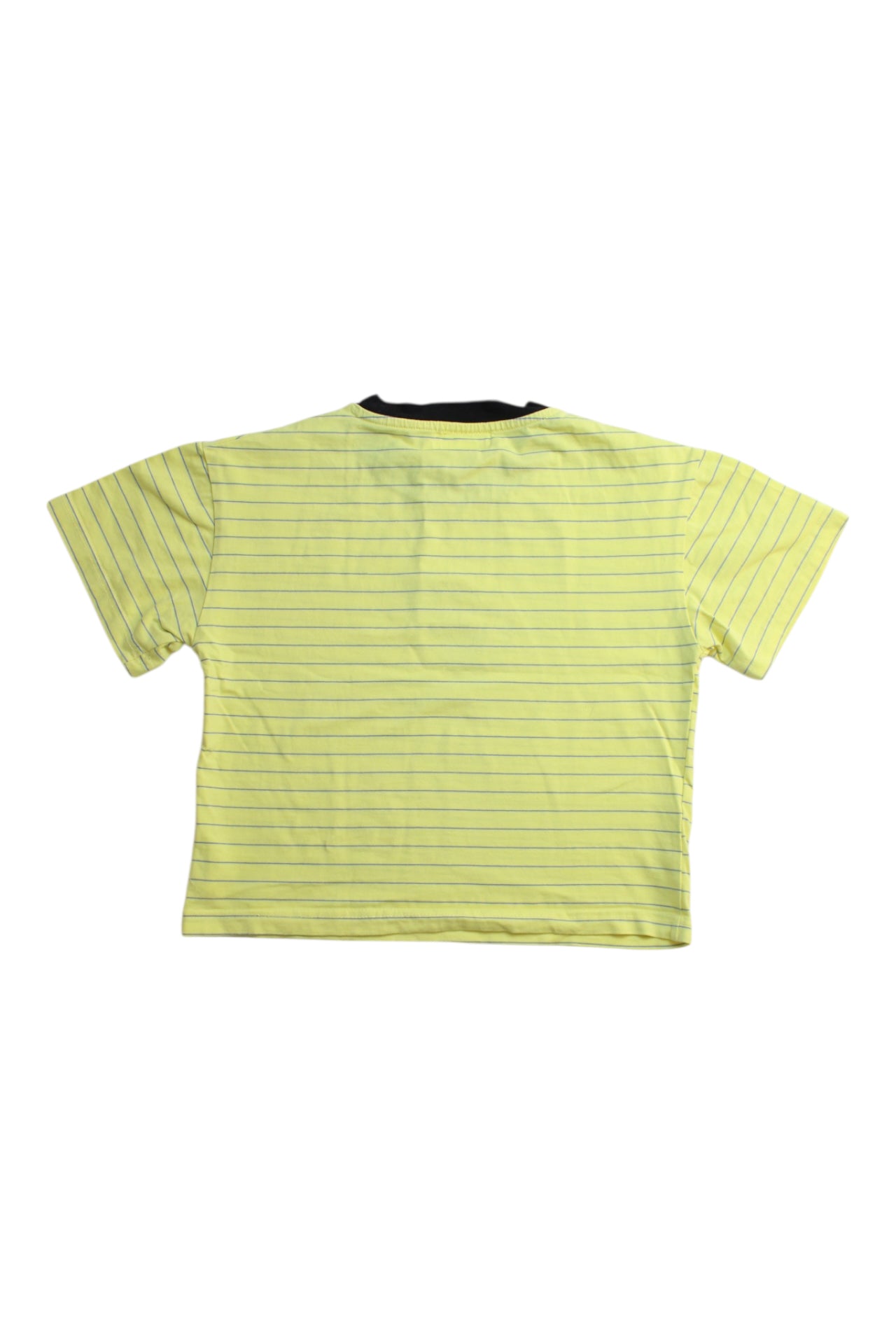 Felix & Mina Dino Stripe T-Shirt, 4T、mySite、g9winljtr