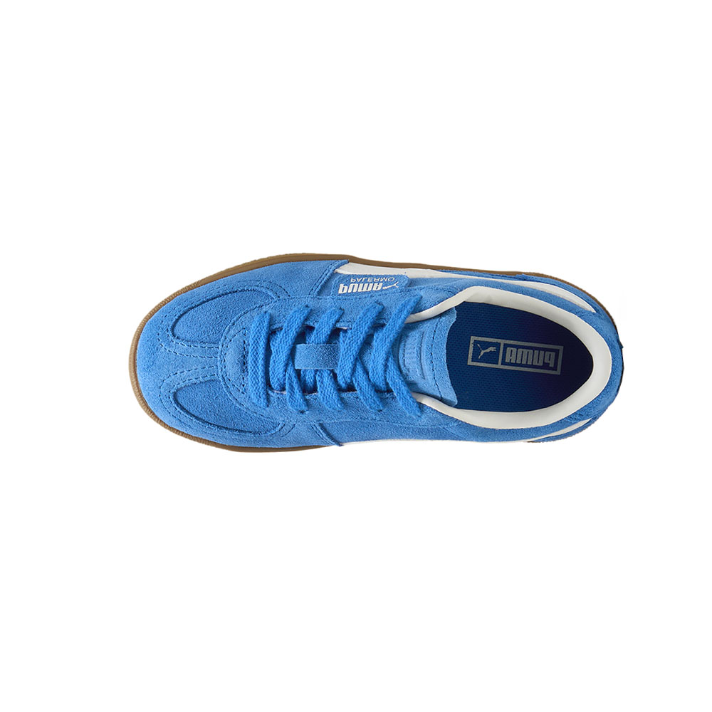 Palermo Lace Up Sneakers (Little Kid-Big Kid)、mySite、gtrtttuynbv