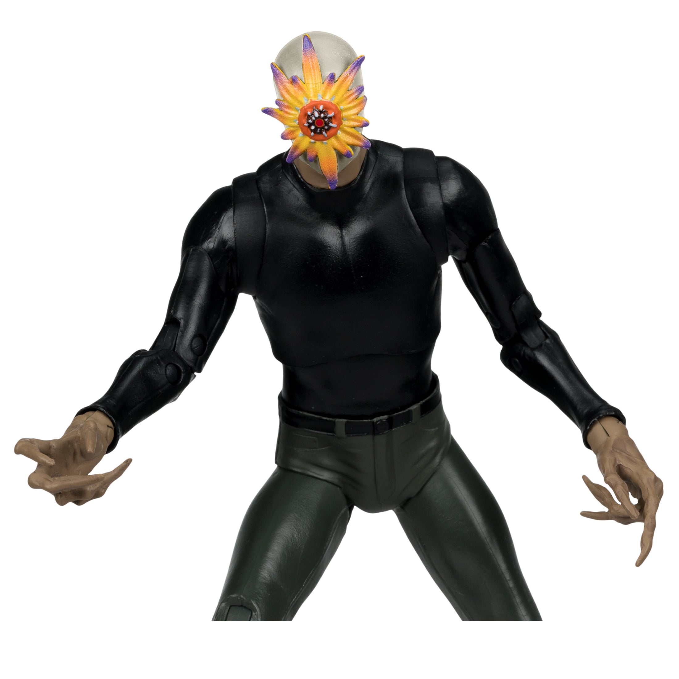 DC Multiverse Exclusive Gold Label Rookie & Mister Bloom Mega Fig、mySite、hgirdovlk