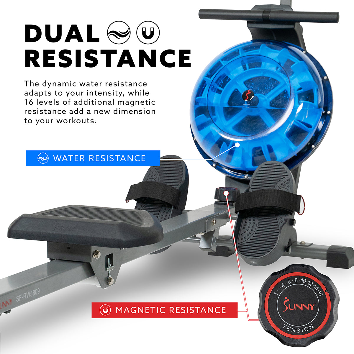  Hydro+ Dual Resistance Rower Magnetic Water Rowing Machine、mySite、ghnorth