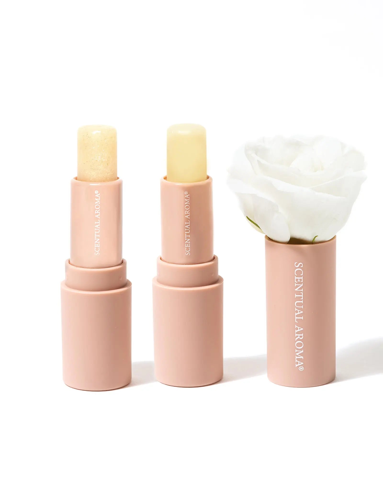  Conditioning Lip Collection、mySite、elrpsem3k