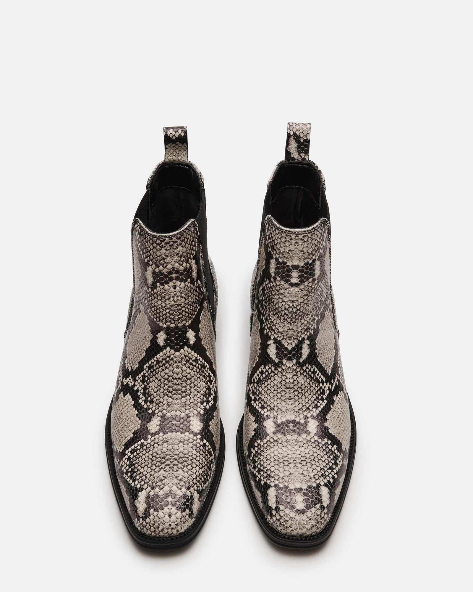 HARTE WHITE SNAKE - SM REBOOTED、mySite、gtrtttuynbv