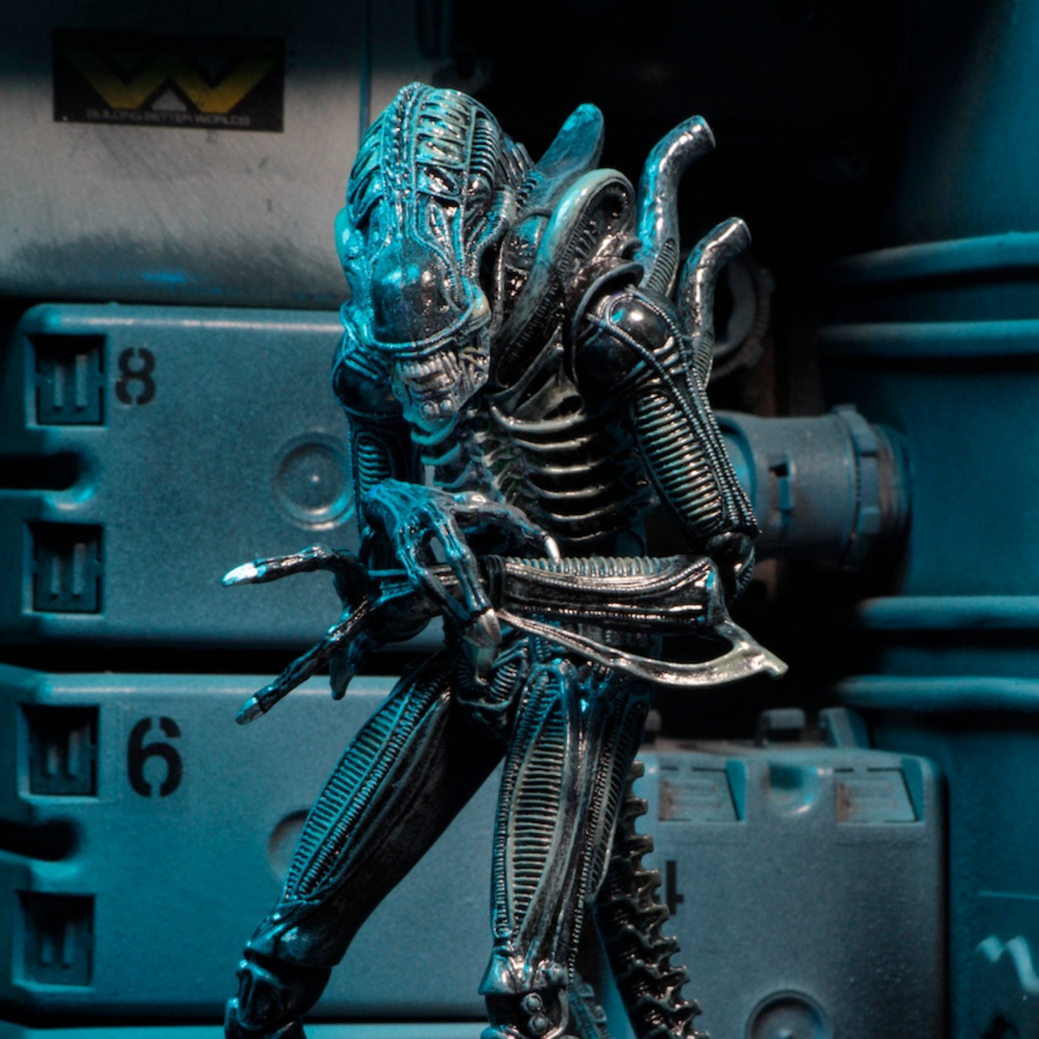 NECA Ultimate Aliens Warrior (Blue)、mySite、hgirdovlk