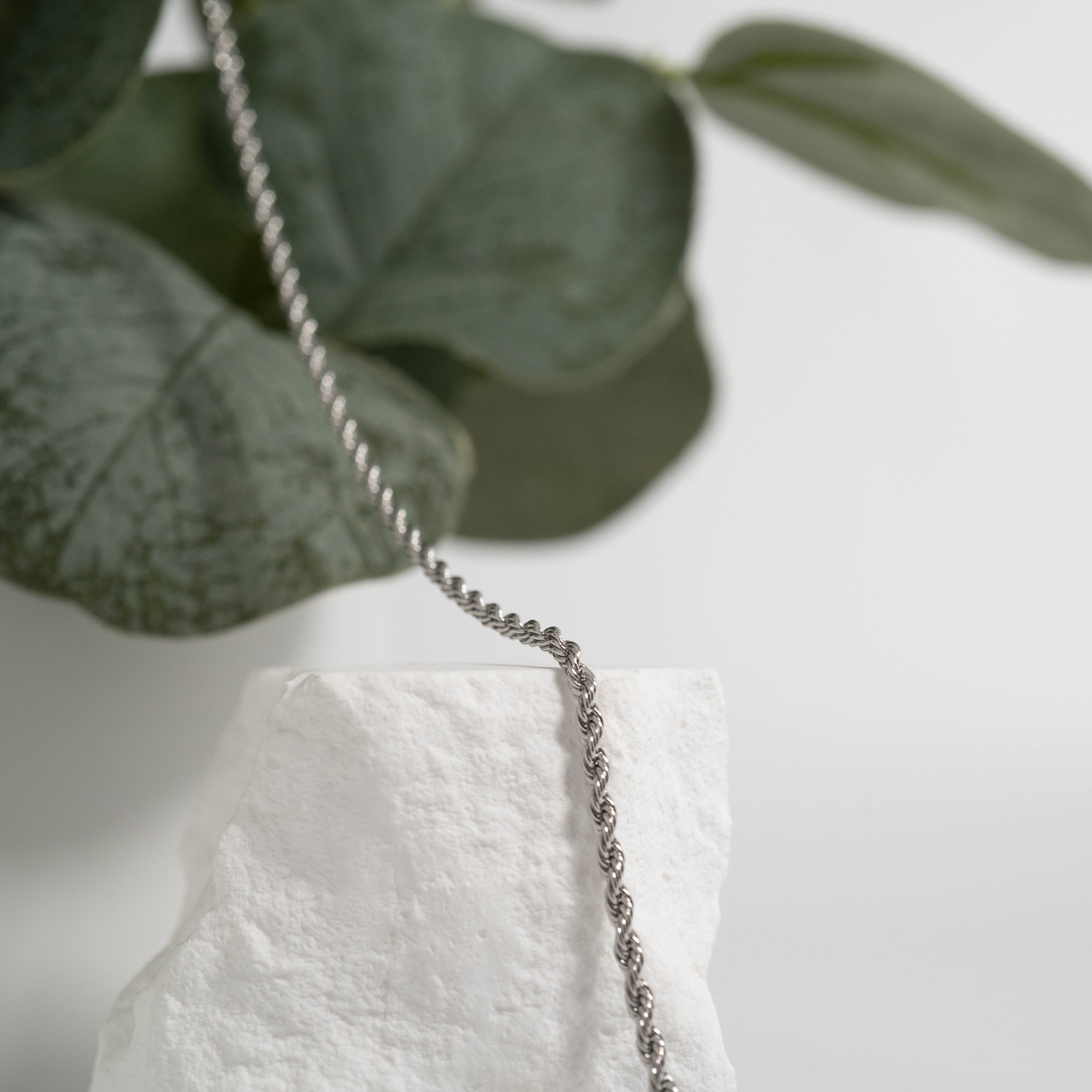 Stainless Steel Rope Chain Necklace / CHN9700、mySite、dreamappss