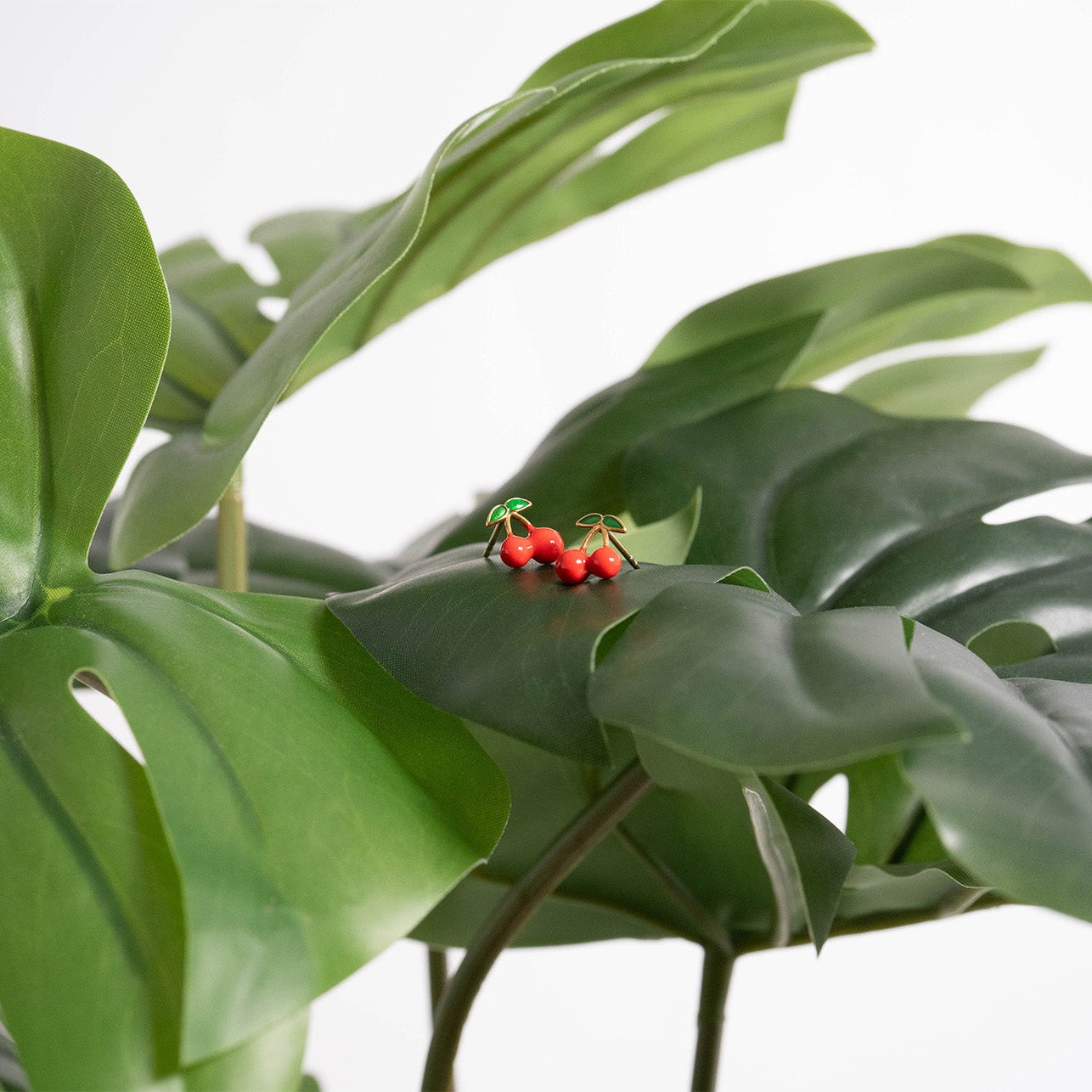 18K Gold PVD Stainless Steel Enamel Cherry Stud Earrings / ERJ0082、mySite、dreamappss