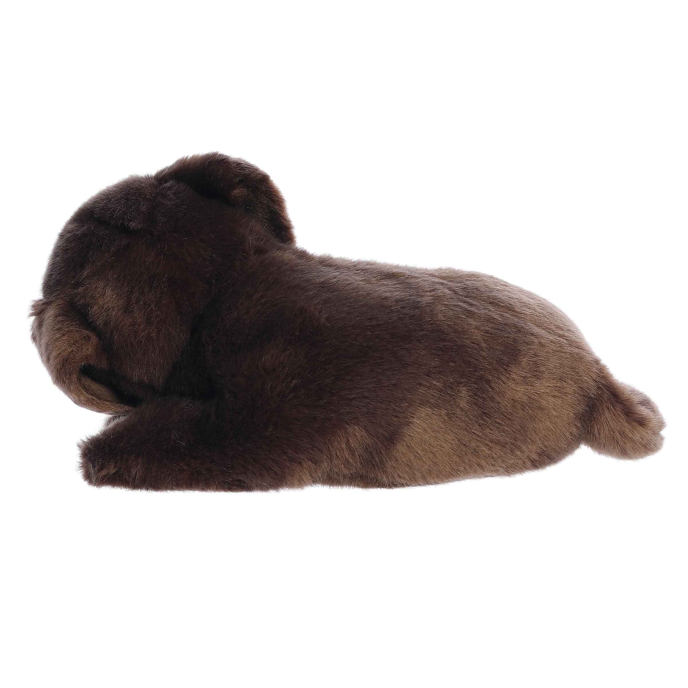 Aurora® - Miyoni® Tots - 10 Sleepy Chocolate Lab Pup、mySite、g9winljtr