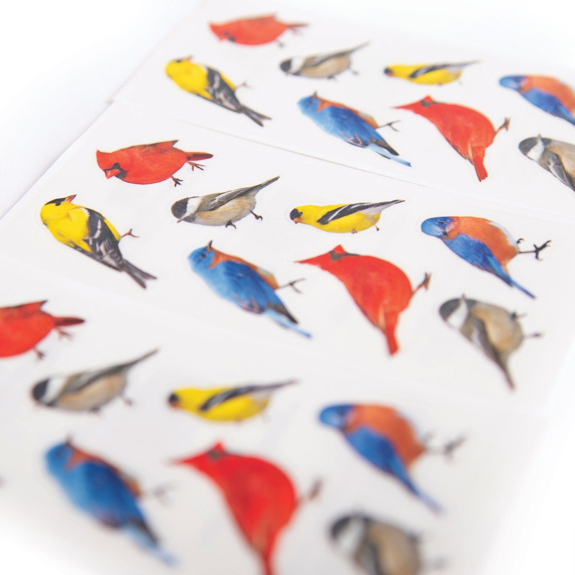  Decorative Stickers - Birds、mySite、ghnorth