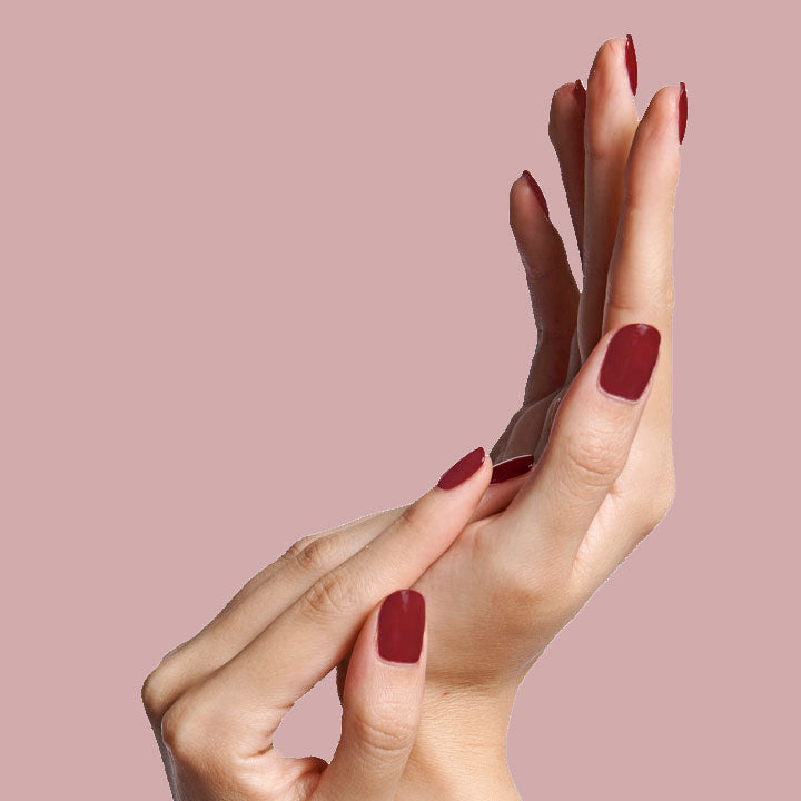 Cozy Up、mySite、solidvoid