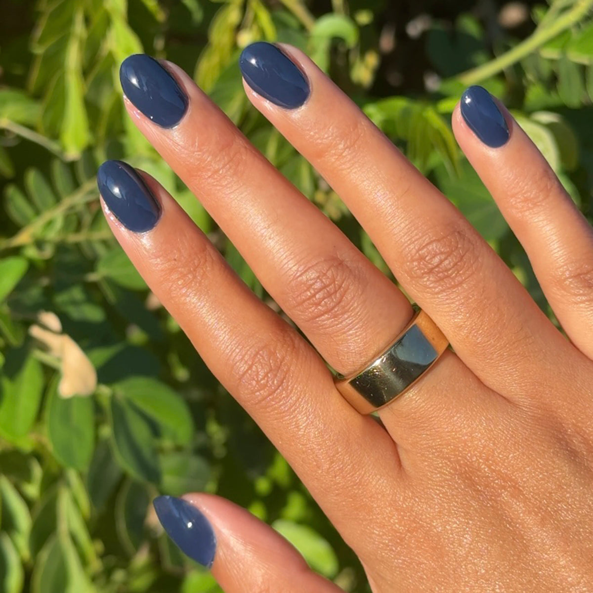 Suited - Gel、mySite、solidvoid