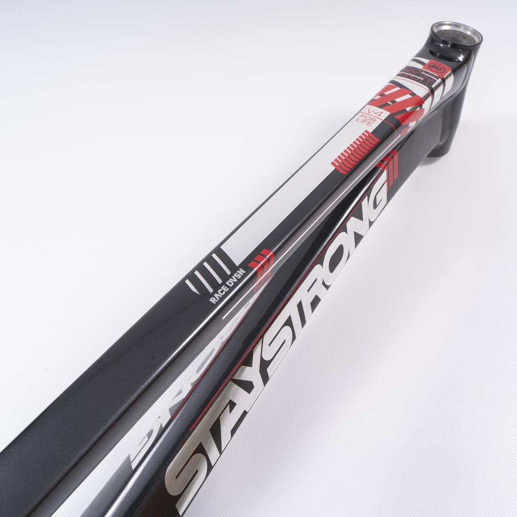  Stay Strong For Life 2023 V4 Pro Race Frame - Disc Version、mySite、merchandisen